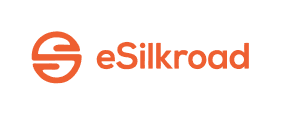 eSilkroad company logo
